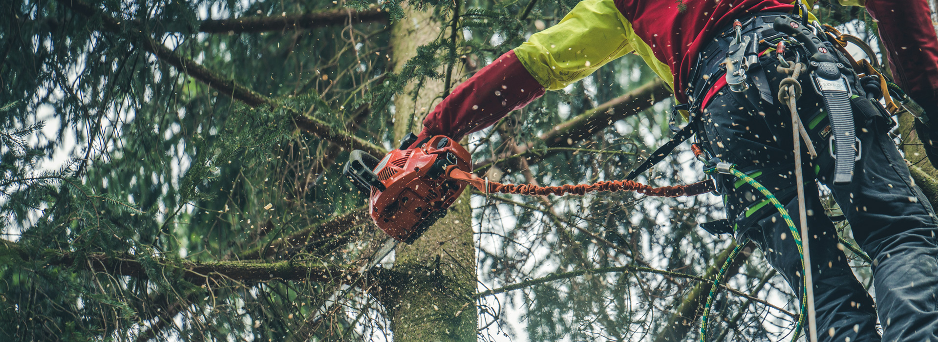 Slide #4 Slide background